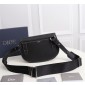 Borsa Dior Saddle 