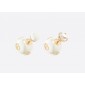 Dior Tribales earrings 