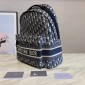 DiorTravel Backpack