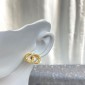   Petit CD  earrings