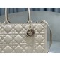 Medium Dior Book Tote