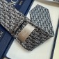 Dior Silk Neck Tie