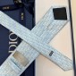Dior Silk Neck Tie
