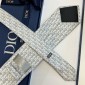 Dior Silk Neck Tie