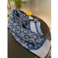 LV Shawl and scarf