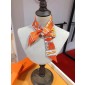 Hermes Silk Twilly 