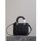 Medium Lady Dior Bag