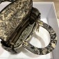 Christian Dior Medium Lady D-Lite Bag 