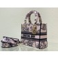 Christian Dior Medium Lady D-Lite Bag 
