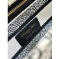 Christian Dior Medium Lady D-Lite Bag 