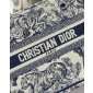 Christian Dior Small Book Tote 