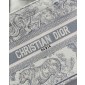 Christian Dior Small Book Tote 