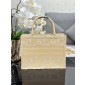 Christian Dior Medium Book Tote 