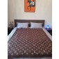 Louis Vuotton Cashere Blanket 