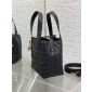 Small Dior Toujours Vertical Tote Bag-Black