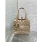 Small Dior Toujours Vertical Tote Bag-Powder beige
