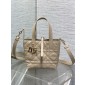 Small Dior Toujours Vertical Tote Bag-Powder beige