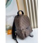 Louis Vuitton M44871 Palm Springs PM