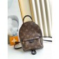 Louis Vuitton M44873 Palm Springs Mini 