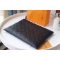Louis Vuitton Daily Pouch