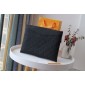 Louis Vuitton Daily Pouch