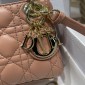  Lady Dior Micro Bag