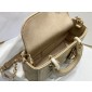 Christian Dior Lady D-Joy Micro Bag 