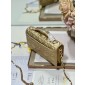 Lady Dior Top Handle Clutch 