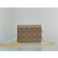 Dior Caro Zipped Pouch with Chain 